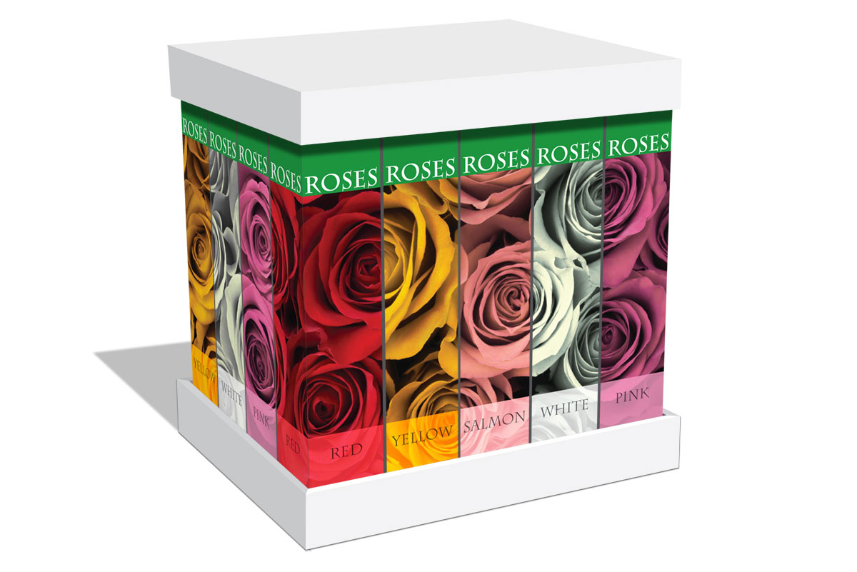 Proposal of the flowerbox packaging
